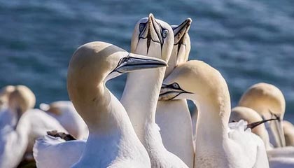 乐鱼登录：开启你的智能娱乐新体验